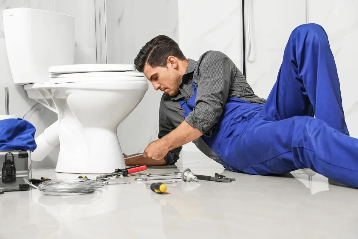 Toilet repair and installation Windsor